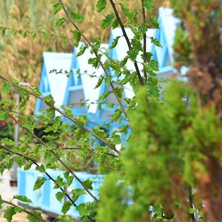 Cflow Beach Resort Byblos Kültér fotó