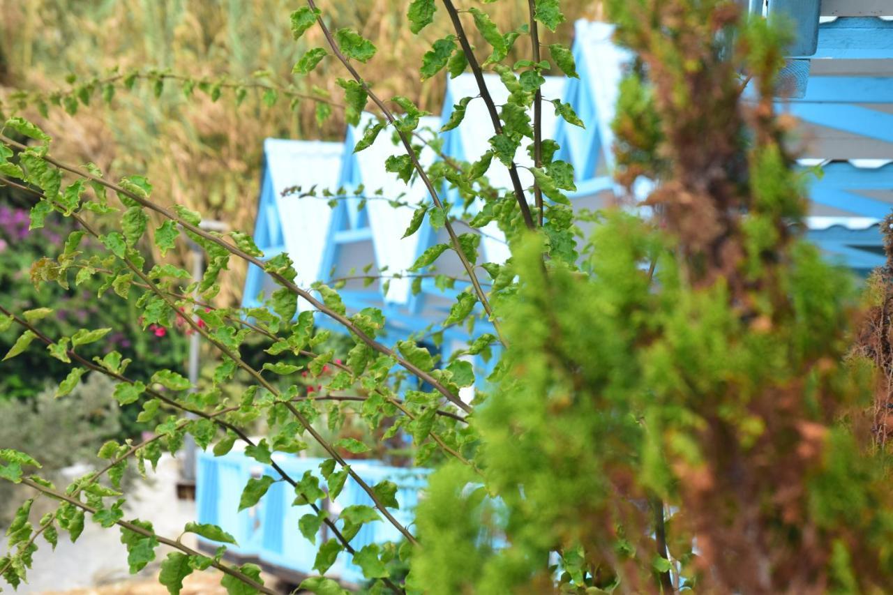 Cflow Beach Resort Byblos Kültér fotó